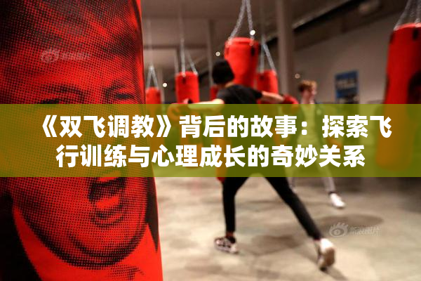《双飞调教》背后的故事：探索飞行训练与心理成长的奇妙关系