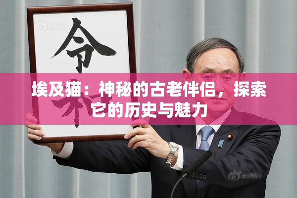 埃及猫：神秘的古老伴侣，探索它的历史与魅力