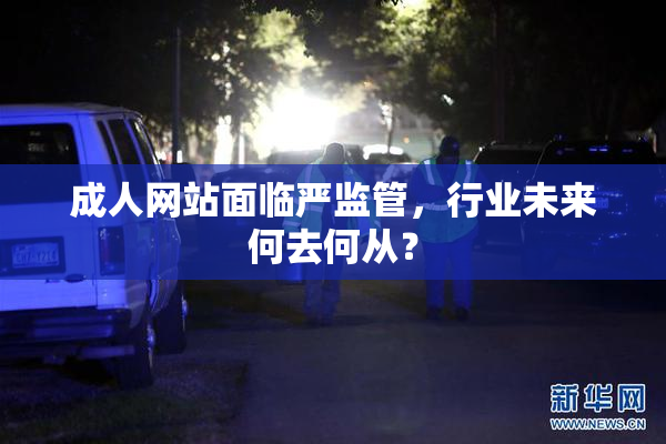 成人网站面临严监管，行业未来何去何从？