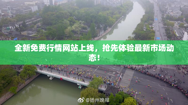 全新免费行情网站上线，抢先体验最新市场动态！