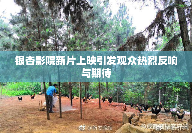 银杏影院新片上映引发观众热烈反响与期待