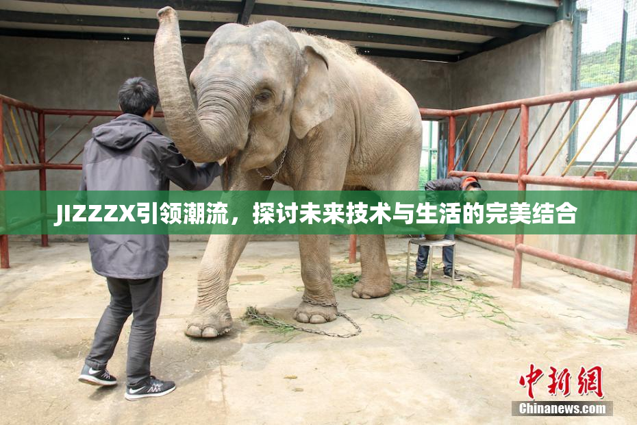 JIZZZX引领潮流，探讨未来技术与生活的完美结合