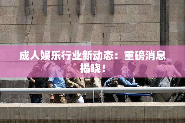 成人娱乐行业新动态：重磅消息揭晓！