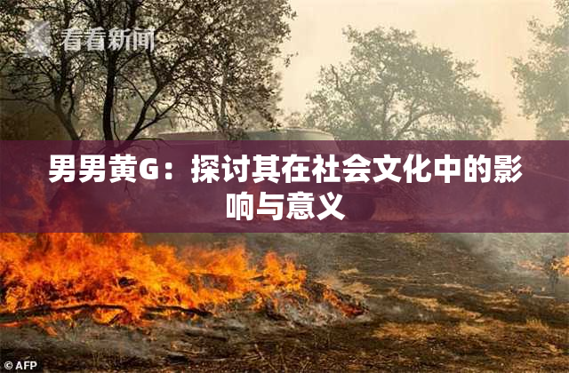 男男黄G：探讨其在社会文化中的影响与意义
