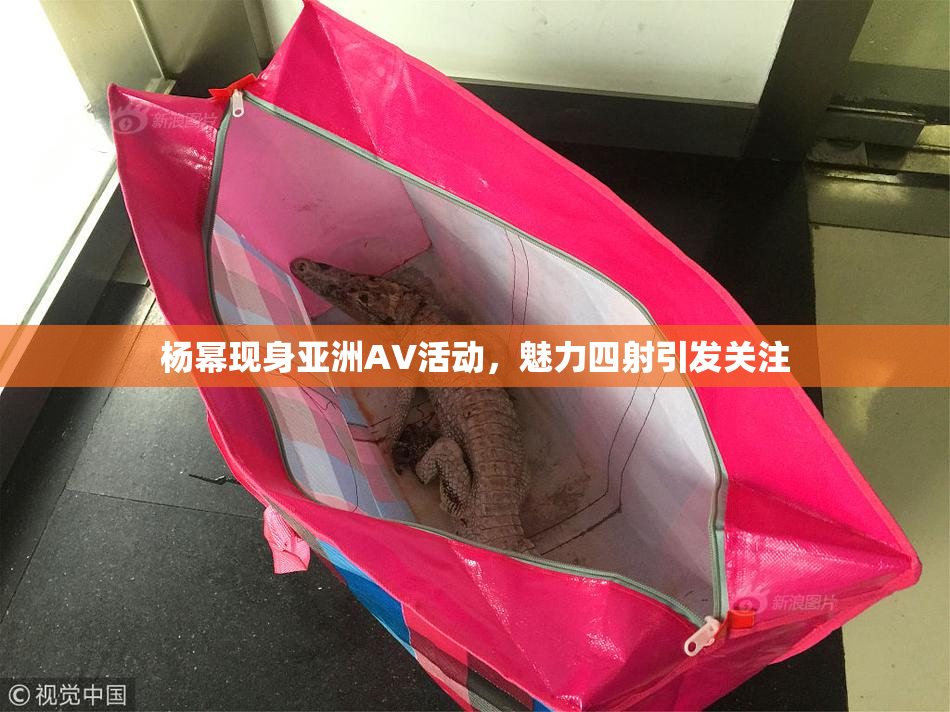 杨幂现身亚洲AV活动，魅力四射引发关注