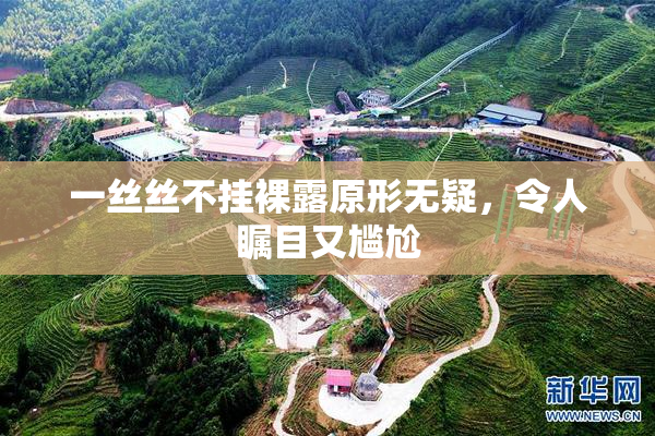一丝丝不挂裸露原形无疑，令人瞩目又尴尬