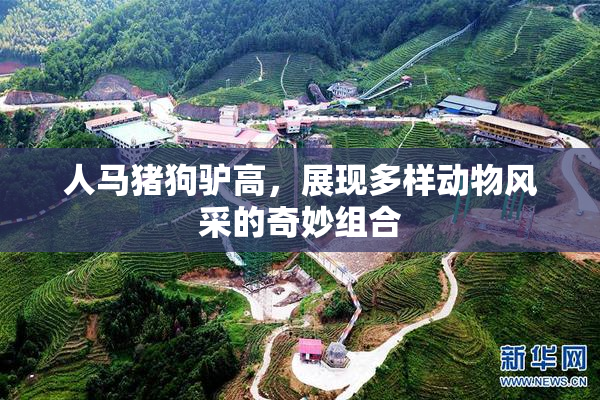 人马猪狗驴高，展现多样动物风采的奇妙组合