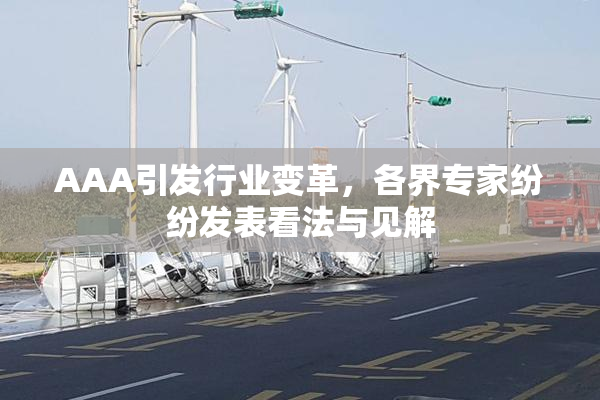 AAA引发行业变革，各界专家纷纷发表看法与见解