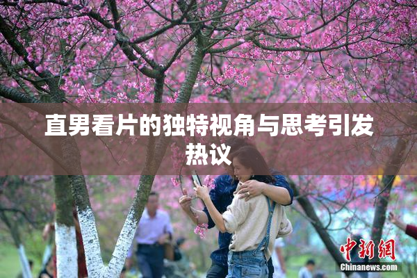 直男看片的独特视角与思考引发热议