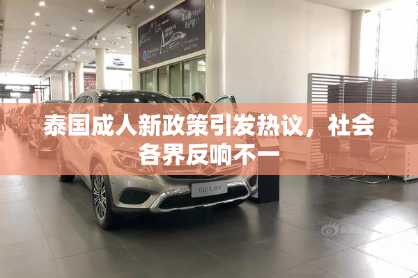 泰国成人新政策引发热议，社会各界反响不一