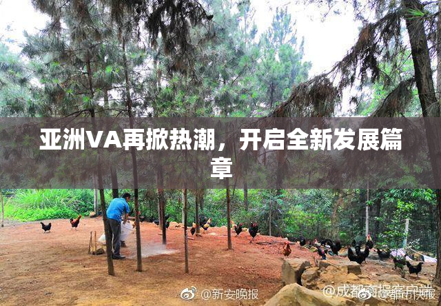 亚洲VA再掀热潮，开启全新发展篇章