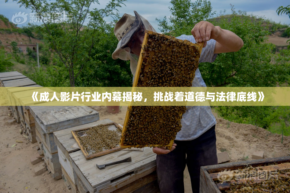 《成人影片行业内幕揭秘，挑战着道德与法律底线》