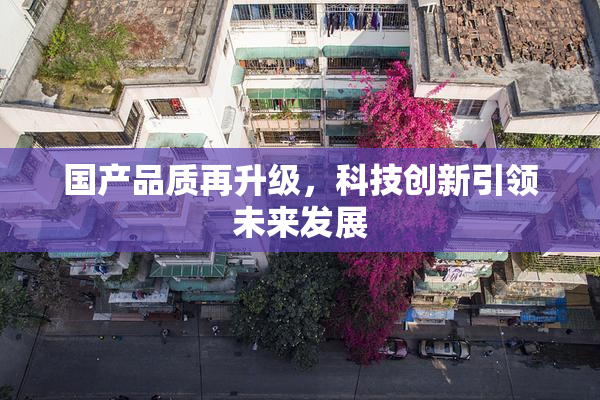 国产品质再升级，科技创新引领未来发展