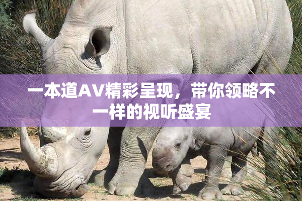 一本道AV精彩呈现，带你领略不一样的视听盛宴