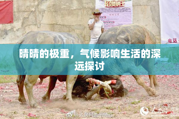 晴晴的极重，气候影响生活的深远探讨
