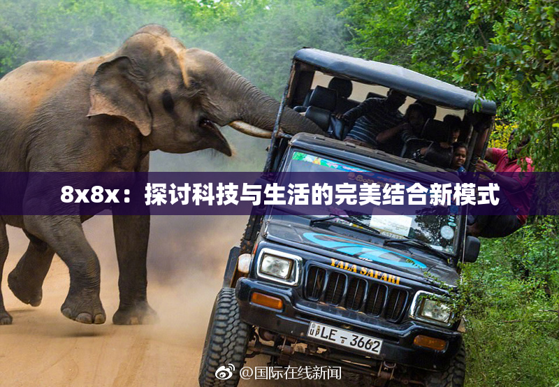 8x8x：探讨科技与生活的完美结合新模式