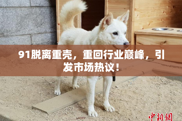 91脱离重壳，重回行业巅峰，引发市场热议！