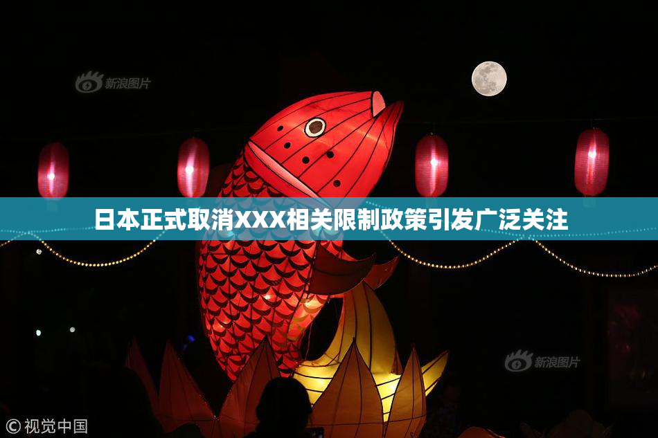 日本正式取消XXX相关限制政策引发广泛关注