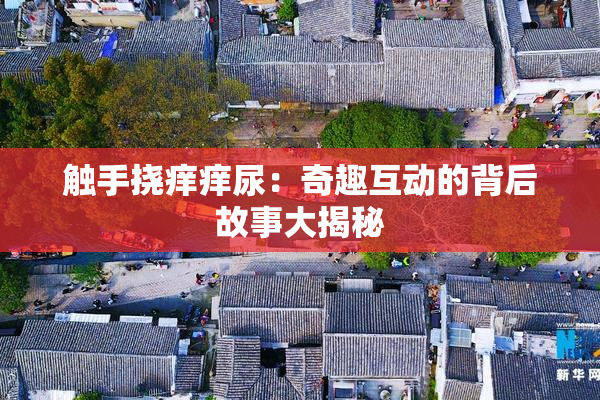 触手挠痒痒尿：奇趣互动的背后故事大揭秘