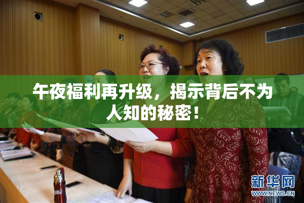 午夜福利再升级，揭示背后不为人知的秘密！