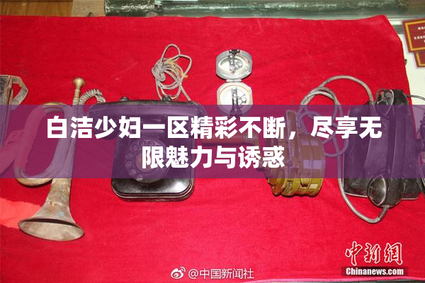 白洁少妇一区精彩不断，尽享无限魅力与诱惑