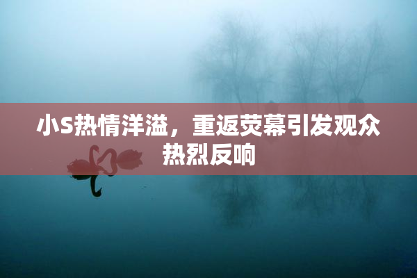 小S热情洋溢，重返荧幕引发观众热烈反响