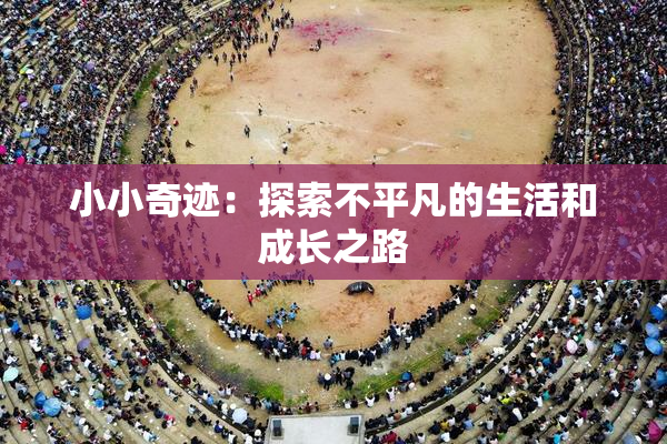 小小奇迹：探索不平凡的生活和成长之路