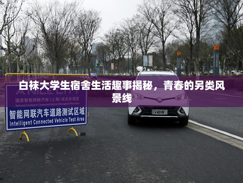 白袜大学生宿舍生活趣事揭秘，青春的另类风景线