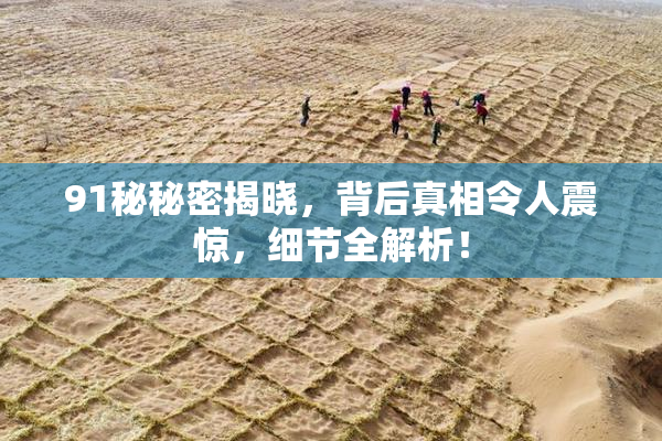 91秘秘密揭晓，背后真相令人震惊，细节全解析！
