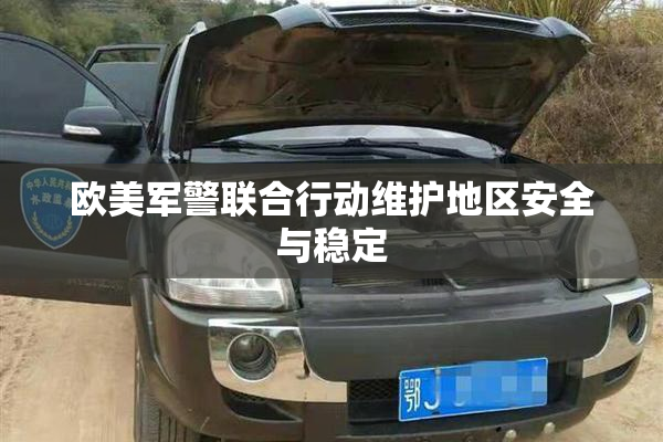 欧美军警联合行动维护地区安全与稳定