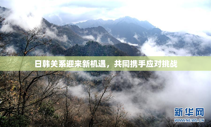 日韩关系迎来新机遇，共同携手应对挑战