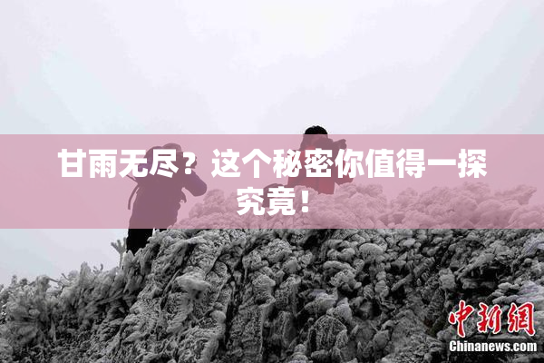 甘雨无尽？这个秘密你值得一探究竟！