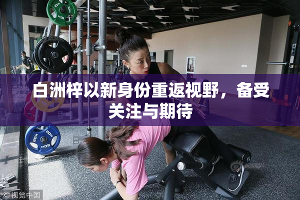 白洲梓以新身份重返视野，备受关注与期待