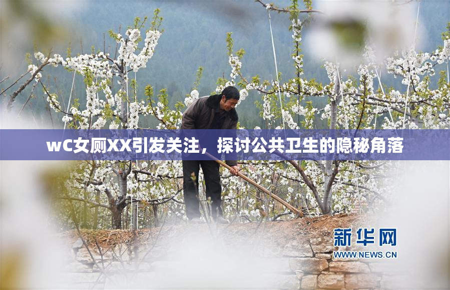 wC女厕XX引发关注，探讨公共卫生的隐秘角落