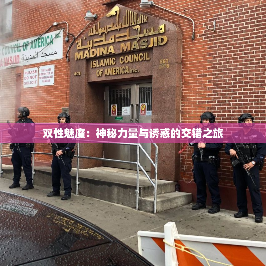 双性魅魔：神秘力量与诱惑的交错之旅