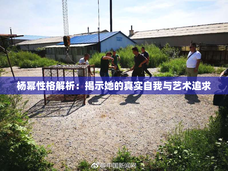 杨幂性格解析：揭示她的真实自我与艺术追求