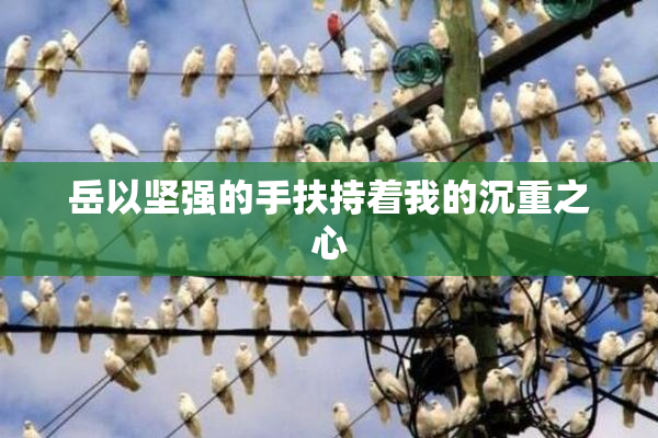 岳以坚强的手扶持着我的沉重之心