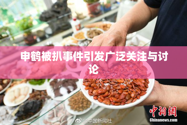 申鹤被扒事件引发广泛关注与讨论