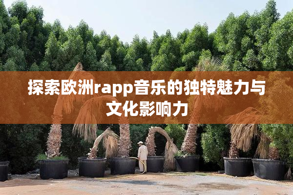 探索欧洲rapp音乐的独特魅力与文化影响力