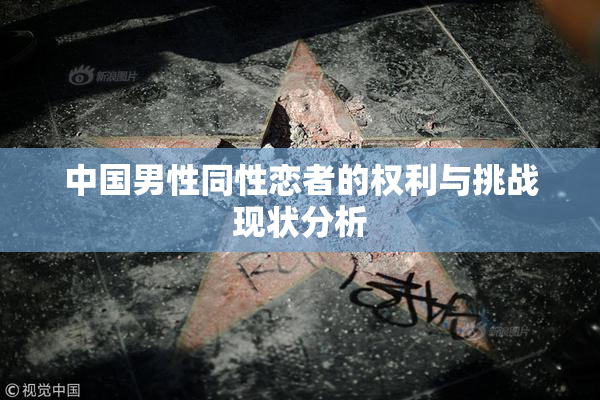 中国男性同性恋者的权利与挑战现状分析