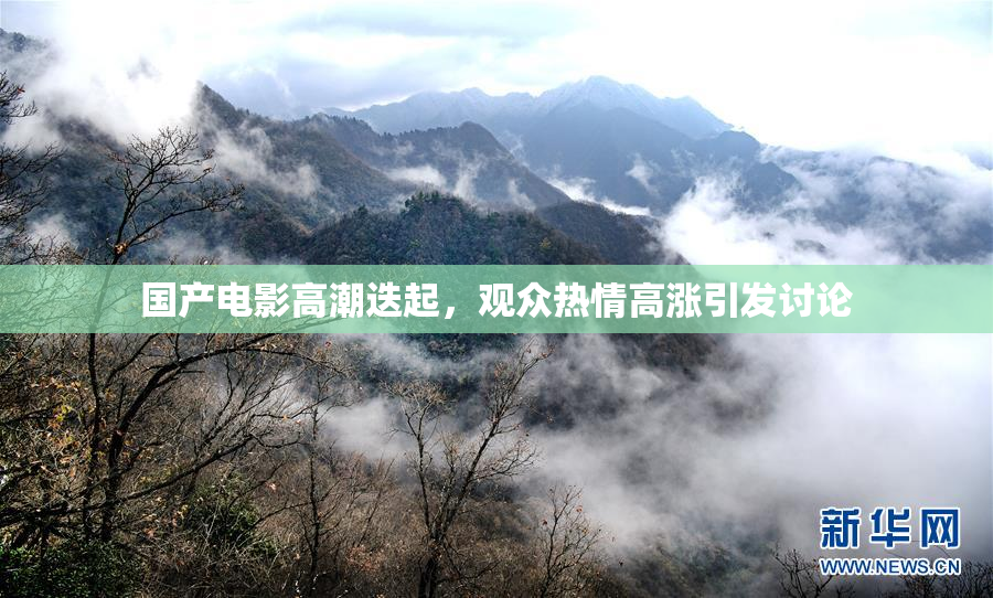 国产电影高潮迭起，观众热情高涨引发讨论