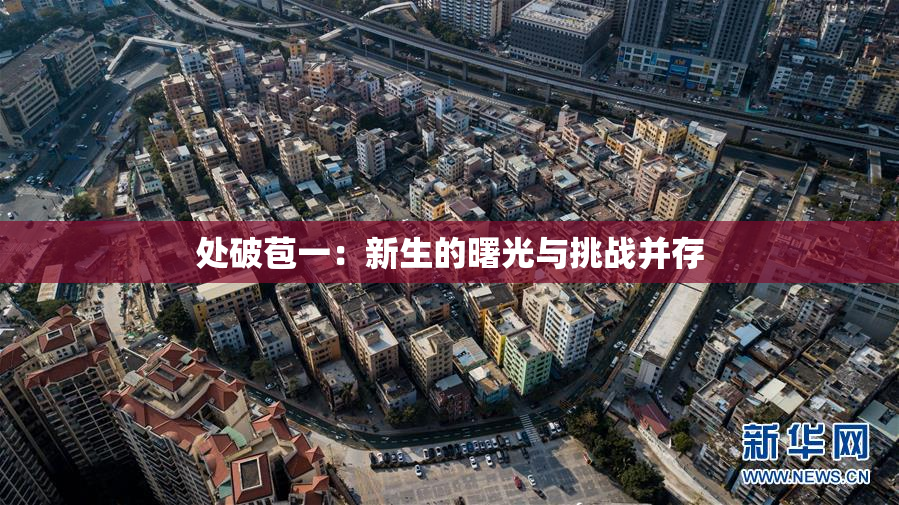处破苞一：新生的曙光与挑战并存