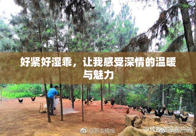 好紧好湿乖，让我感受深情的温暖与魅力