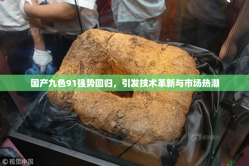 国产九色91强势回归，引发技术革新与市场热潮