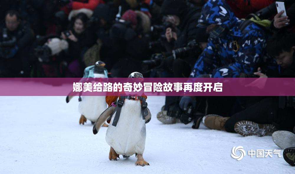 娜美给路的奇妙冒险故事再度开启