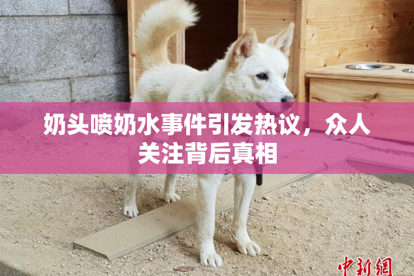奶头喷奶水事件引发热议，众人关注背后真相