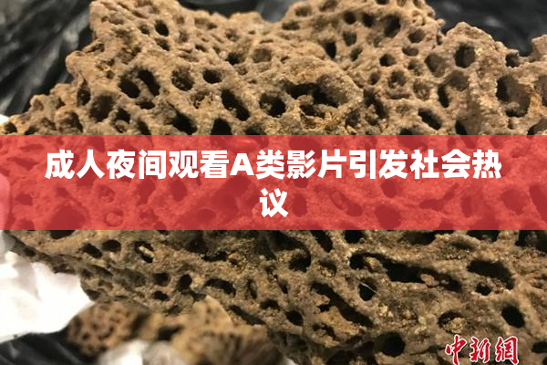 成人夜间观看A类影片引发社会热议