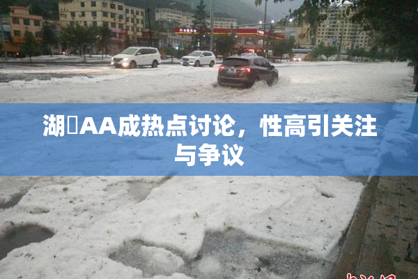 湖婬AA成热点讨论，性高引关注与争议