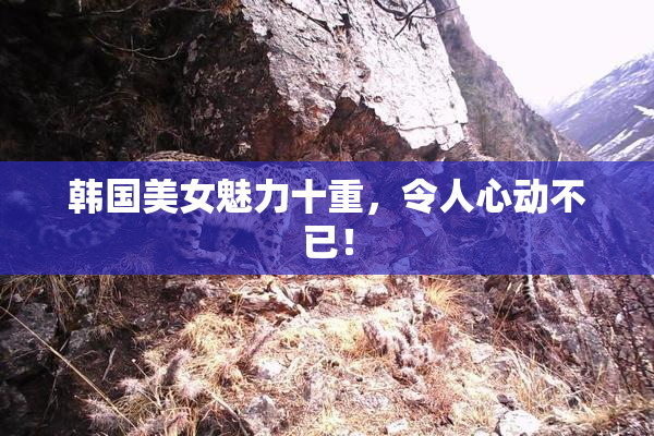 韩国美女魅力十重，令人心动不已！