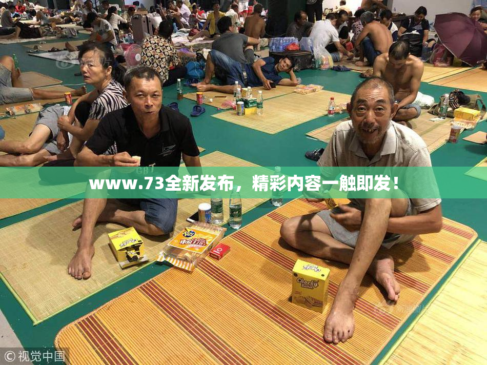 www.73全新发布，精彩内容一触即发！